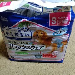 子犬用SS、Sサイズマナーウエアの画像