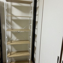 棚→→新品ホヤホヤ‼️の画像