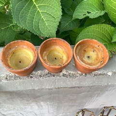 キャンプ　松明　たいまつ　トーチ　灯り　竹　ワックス　3点　ガーデニングの画像
