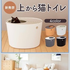 猫トイレの画像