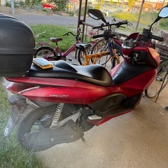 PCX 124 の画像