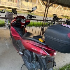 PCX 124 の画像