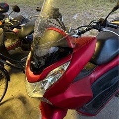 PCX 124 の画像