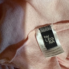 シアーTシャツの画像