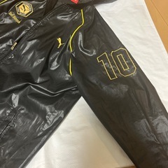 PUMA(160サイズ)ナイロンジャンパーの画像