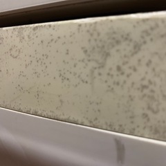 シマノ　クーラーボックス の画像