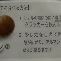 殻付きマカダミアナッツ 250g ナッツクラッカー付きの画像