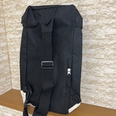 大きめサイズのボディバッグの画像