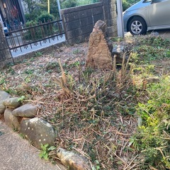 庭の石の画像