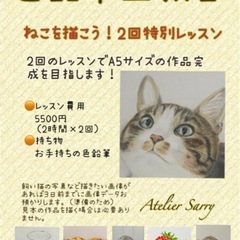 色鉛筆画2回特別レッスン😺猫を描こう❣️の画像