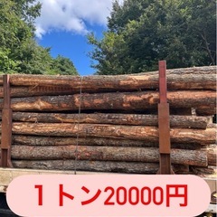 薪、ナラ原木
の画像