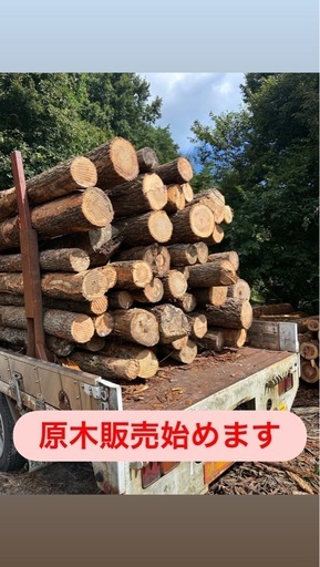 2026薪、ナラ原木 