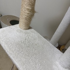 キャットタワー　白の画像
