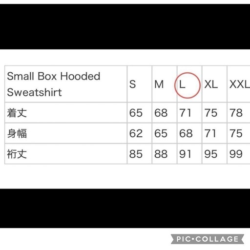 Supreme Small Box Hooded Sweatshirt "Digi Camo"【25SS】