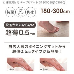 ビニールダイニングマットの画像
