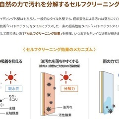 ☆早い方優先☆タイル250枚以上＋接着剤5本の画像