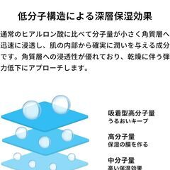 DARUM 浸透型 ヒアルロン酸原液の画像