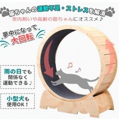 【美品】キャットホイール　キャットウォークの画像