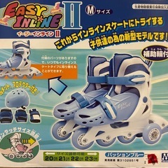 お取引決定！イージーインラインスケートの画像