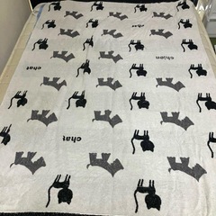 タオルケットの画像