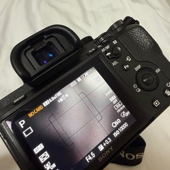 SONY α7 II /レンズ×2 /バッテリー×2の画像