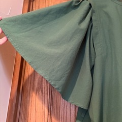 レディーストップスの画像