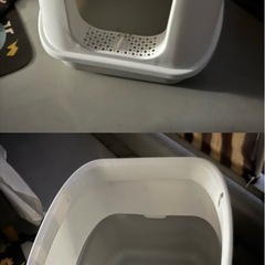 自動給餌器の画像