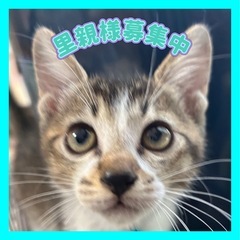 2ヶ月男の子🩵元気いっぱい