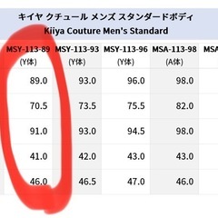 メンズトルソー　ボディー　洋裁用の画像