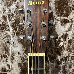Morris アコースティックギター　ヴィンテージ　W-20　の画像