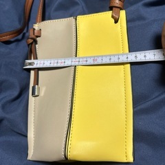 ZARA 今年購入 ミニショルダーの画像