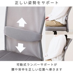 ドウシシャ カリーノ メッシュチェア 腰当てクッション付き ランバーサポートの画像