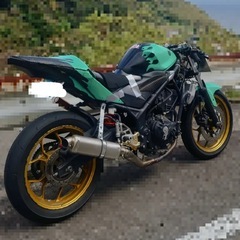 YAMAHA YZF-R25 カスタムし車両の画像