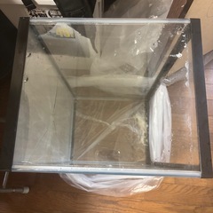 GEX 60センチ水槽 底ひび割れの画像