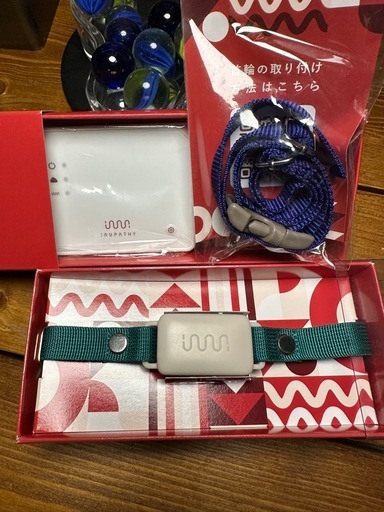 ほぼ新品イヌパシー&ホームステーション