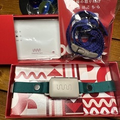 ほぼ新品イヌパシー&ホームステーションの画像