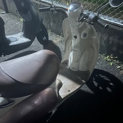 ホンダ　スクーピー　実動　50ccの画像