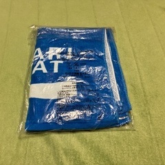 新品未使用未開封 スポーツタオル④123×43cm ポカリスエット 非売品ノベルティの画像