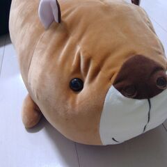 カピバラぬいぐるみの画像
