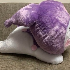 クロミちゃん
の画像