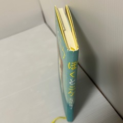 【美品】児童書　小学生　高学年向　ぼくとニケの画像