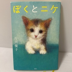 【美品】児童書　小学生　高学年向　ぼくとニケ