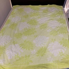 緑　タオルケットの画像