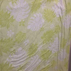 緑　タオルケットの画像