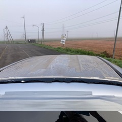 旭川　テリオスキッド　冬の足にどうぞの画像