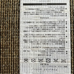 ニトリ 大きめラグ カーペットの画像