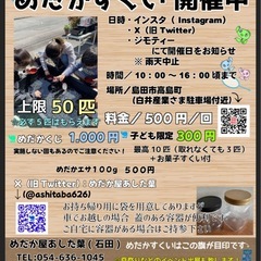 10月4日雨予報の為中止。5日はやります！めだかすくい&くじ