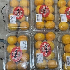 ハウスみかんの画像