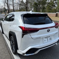 令和3年7月式 レクサスUX 250h バージョンC サンルーフ付き 禁煙車 ガレージ保管 実質ワンオーナーの画像