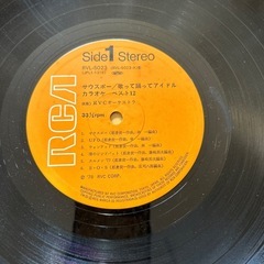 レコード　サウスポーの画像